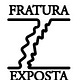 Fratura Exposta