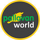 Pallavan World
