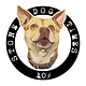 STONE DOG TIMES