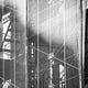 [A Scaffold]