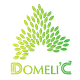 Domelic Publication