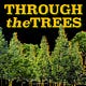 THROUGH the TREES
