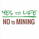 YLNM Newsletter