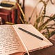 The Journal