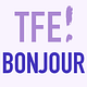 THE FRENCH EXPERIENCE
