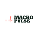 The Macro Pulse
