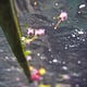 Sea-Water’s Substack