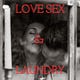 Love Sex & Laundry