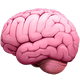 The Informationist