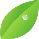 The Leadership Garden Newsletter