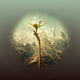 On Renewal