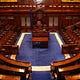 The Irish Politics Newsletter of Tull McAdoo. 