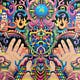 The Psychedelic Blog
