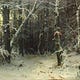 Stories From the Edge of the Forest