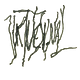 virtuesignal.substack