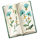 Field Notes