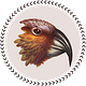 The Kākā by Bernard Hickey