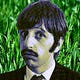 Ringo Dreams of Lawn Care