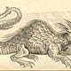 Monstrorum Liber