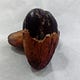 Cocoa Diaries Newsletter