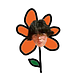 Late Bloomer