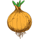 Psychology Onions
