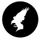 The Raven's Writing Desk