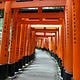 Climbing Mount Inari
