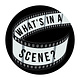 What's in a Scene?