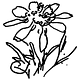 GARTO