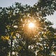 Utopian Futures