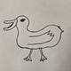 The Quack