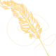 Dispacci