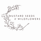 Mustard Seeds and Wildflowers