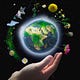 Earthly Fortunes