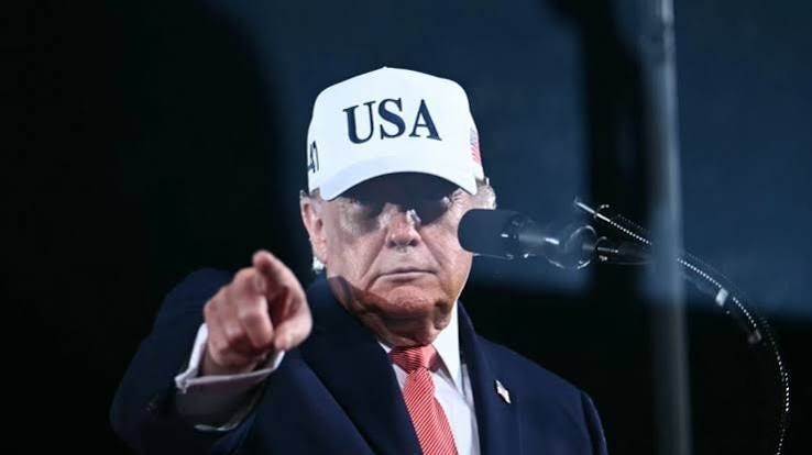 I Reported Trump for Fraud on His Own Fraud.gov, 67 Times. Here’s How You Can Too.