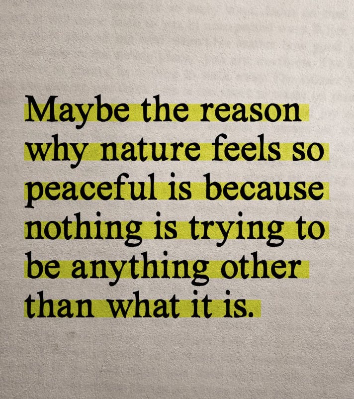 Image from a note by Mindful Minute