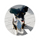 GoodDog's avatar