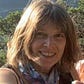 Ann Norman's avatar