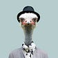 Roye Segal's avatar