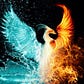 MeriBear's avatar