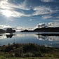Reflections-Claire Milne's avatar