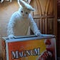 nobunny's avatar