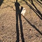 A Stranger in a Strange Land's avatar