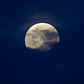Moon Not Sun's avatar