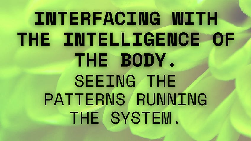 Interfacing with the Intelligence of the Body