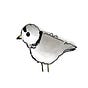 thebirdherder