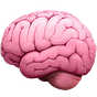 The Informationist