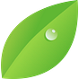 The Leadership Garden Newsletter
