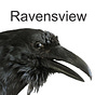Raven's View